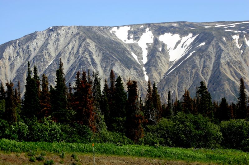 062304 Skagway to Haines (10070)